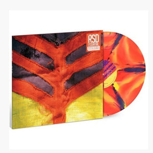 the album cover for Yeah Yeah Yeahs - Show Your Bones [RSD Essentials Orange, Yellow & Purple Marble]