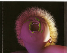 Load image into Gallery viewer, Yeah Yeah Yeahs : Mosquito (CD, Album)
