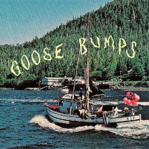 the album cover for Boyscott - Goose Bumps [Blue Marble]