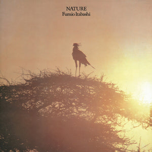 the album cover for Fumio Itabashi - Nature