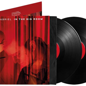 the album cover for Peter Gabriel - In The Big Room