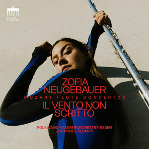 the album cover for Zofia Neugebauer - Il Vento Non Scritto