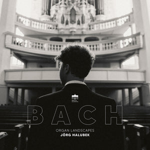 the album cover for Jorg Halubek - Organ Landscapes