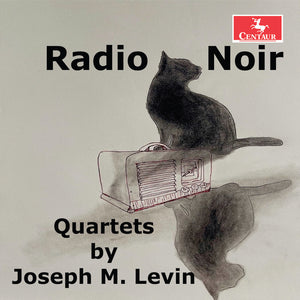 the album cover for Jana Flygstad - Radio Noir