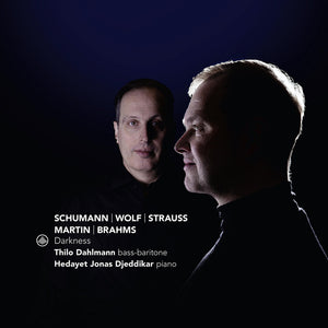 the album cover for Thilo Dahlmann - Darkness