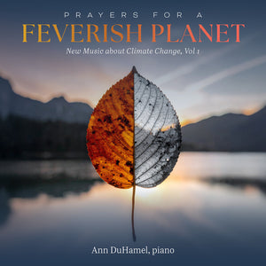 the album cover for Ann Duhamel - Prayers For A Feverish Planet - New Music About
