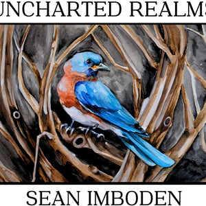 the album cover for Sean Imboden - Uncharted Realms [Digipak]