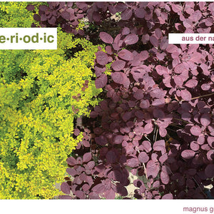 the album cover for Aperiodic - Aus Der Nacht