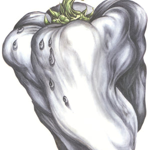 the album cover for Ween - White Pepper [Colored Vinyl] (Grn) [Limited Edition]