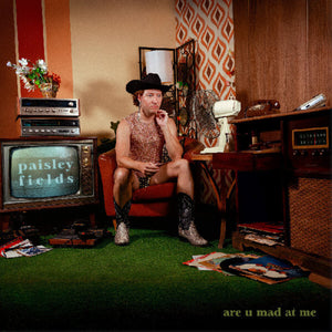 the album cover for Paisley Fields - Are U Mad At Me - Emerald [Colored Vinyl]