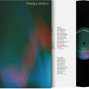the album cover for Veils - Fragile World