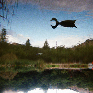 the album cover for Tomu Dj - Antagonist