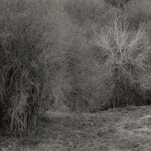 the album cover for K Leimer . - Atrophies For Piano [Colored Vinyl] [180 Gram] (Wht)