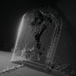 the album cover for Visible Cloaks - Paradessence