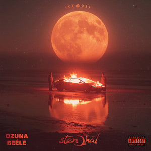 the album cover for Ozuna & Beele - Stendhal