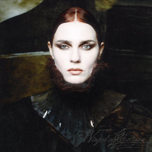 the album cover for Martyna Basta - Winged In Collapse