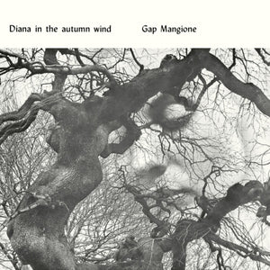 the album cover for Gap Mangione - Diana In The Autumn Wind