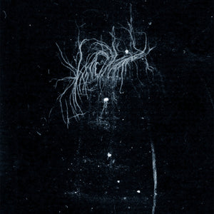the album cover for My Heart, An Inverted Flame - My Death Is More Beautiful Than Your Life