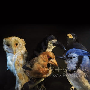 the album cover for Erikm / Pierre Bastien - Observations
