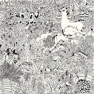 the album cover for Of Montreal - Aethermead [Clear Vinyl]