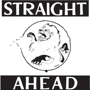 the album cover for Straight Ahead - Straight Ahead [Colored Vinyl]