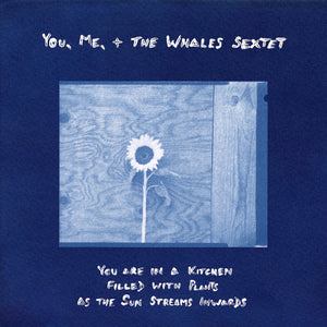the album cover for You, Me, + The Whales Sextet - You Are In A Kitchen Filled With Plants As The Sun