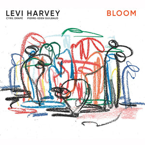 the album cover for Levi Harvey - Bloom