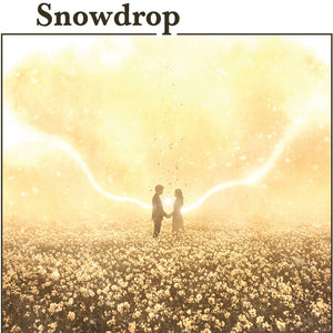 the album cover for Mono - Snowdrop