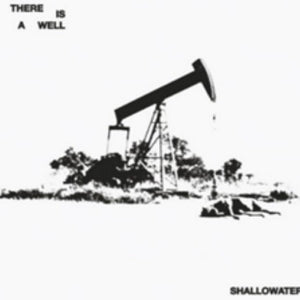the album cover for Shallowater - There Is A Well [Colored Vinyl]