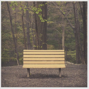 the album cover for Streetlight Manifesto - Hands That Thieve [Colored Vinyl] [Reissue]