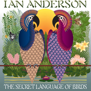 the album cover for Ian Anderson - Secret Language Of Birds