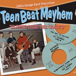 the album cover for Teenbeat Mayhem / Various - Teenbeat Mayhem / Various
