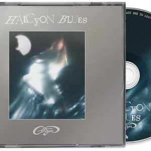 the album cover for Citizen - Halcyon Blues