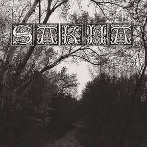 the album cover for Sakna - De Syv Dodssynder (2-12 Inch)