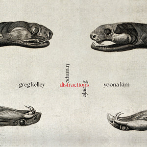 the album cover for Greg Kelley - Distractions for Trumpet & Ajaeng