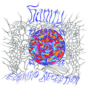 the album cover for Vanity - Evening Reception