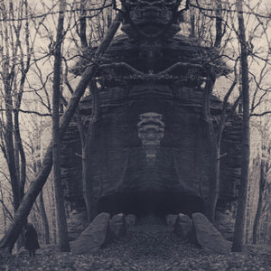 the album cover for Accident Fantome - Objets Enchasses Dans Un Annea