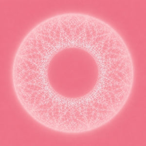 the album cover for Merzbow & Pedro Vian - Bardo Thodol