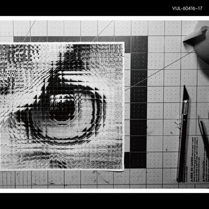 the album cover for Sakanaction - Adapt (180g/2lp)