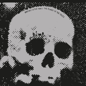 the album cover for Writing On The Wall - Power of the Picts