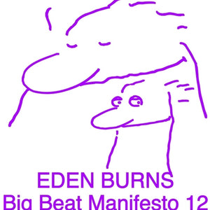 the album cover for Eden Burns - Big Beat Manifesto Vol. Xii