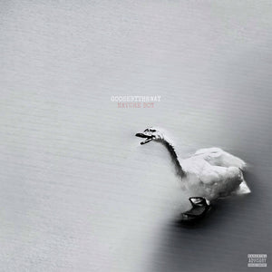 the album cover for Goosebytheway - Nature Boy [White Vinyl]