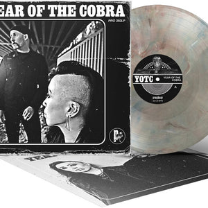 the album cover for Unknown Artist - Year of the Cobra