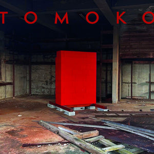 the album cover for Geins't Nait & Lo - Tomoko