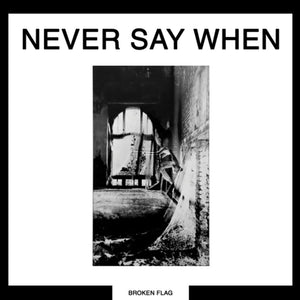 the album cover for Various Artists - Never Say When (2lp)
