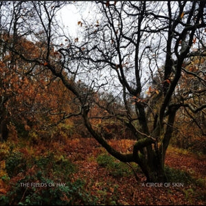 the album cover for Fields of Hay - Circle of Skin