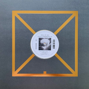 the album cover for Soul of Hex - Disco Permanente [Silver Vinyl]