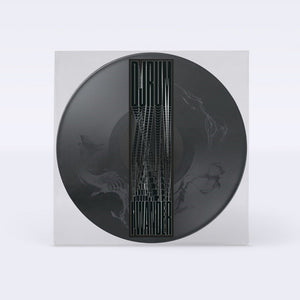 the album cover for Djrum - I Wander [Picture Disc]