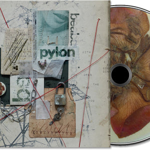 the album cover for beabadoobee - Pylon [Digipak]