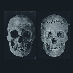 the album cover for Government Alpha - Human Race Was Restored To Life Repeatedly